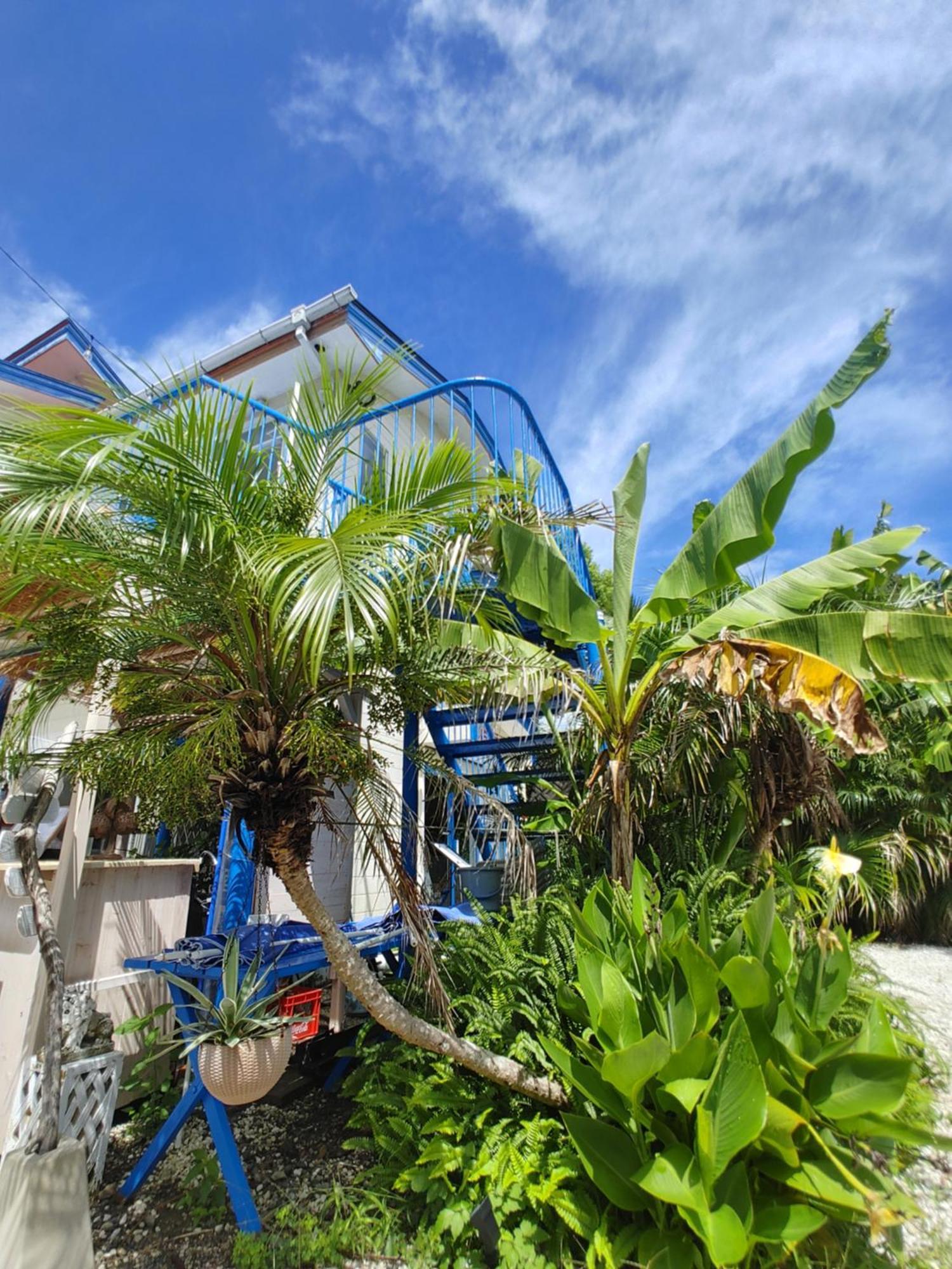 Guest House Churaumi 시모다 외부 사진