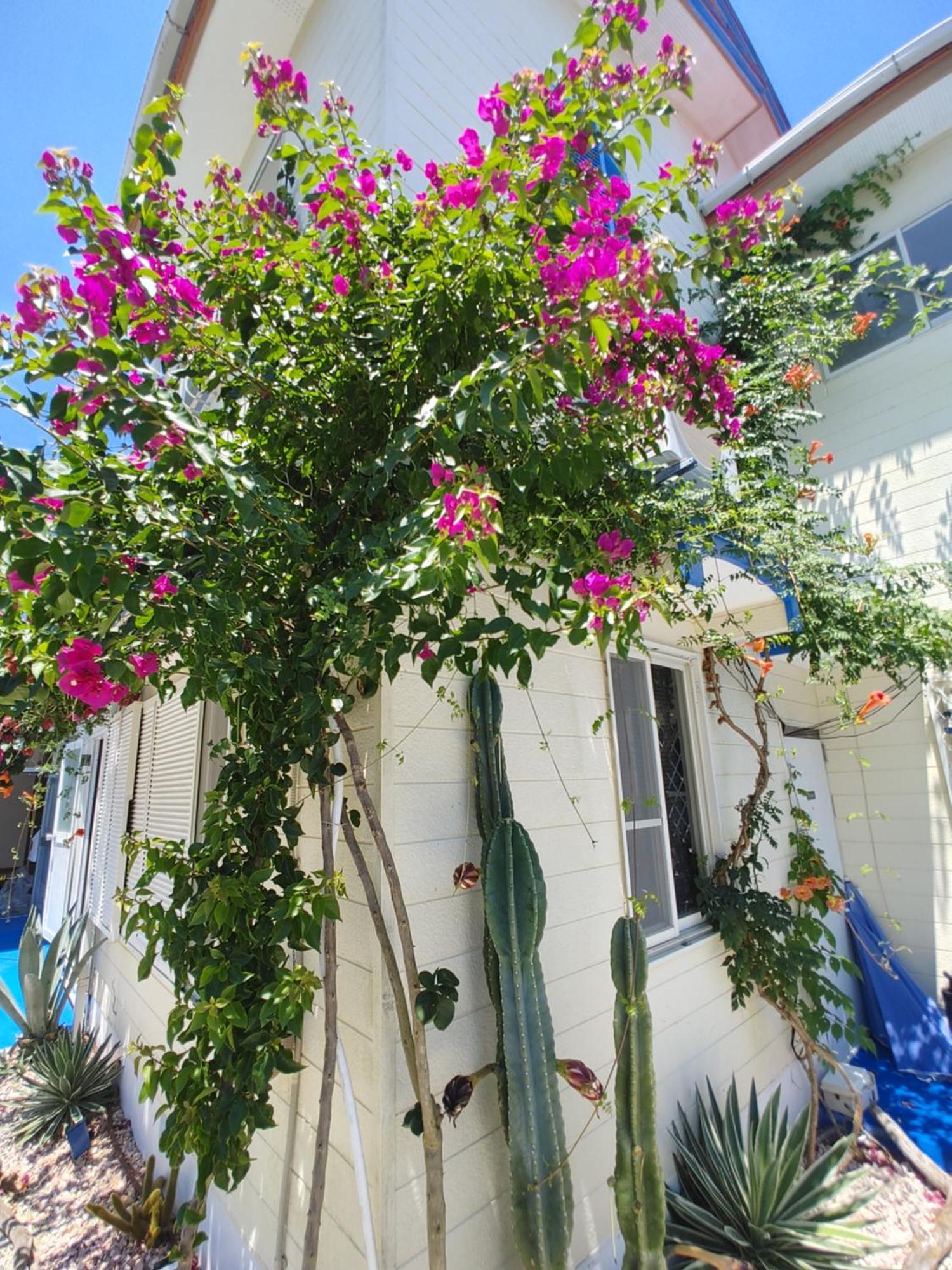 Guest House Churaumi 시모다 외부 사진